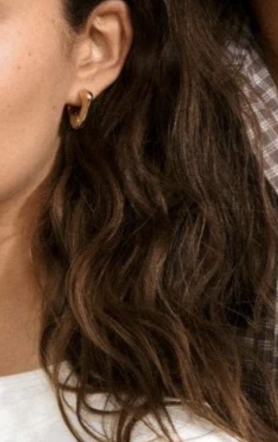 Boucles d'oreilles Pilgrim 