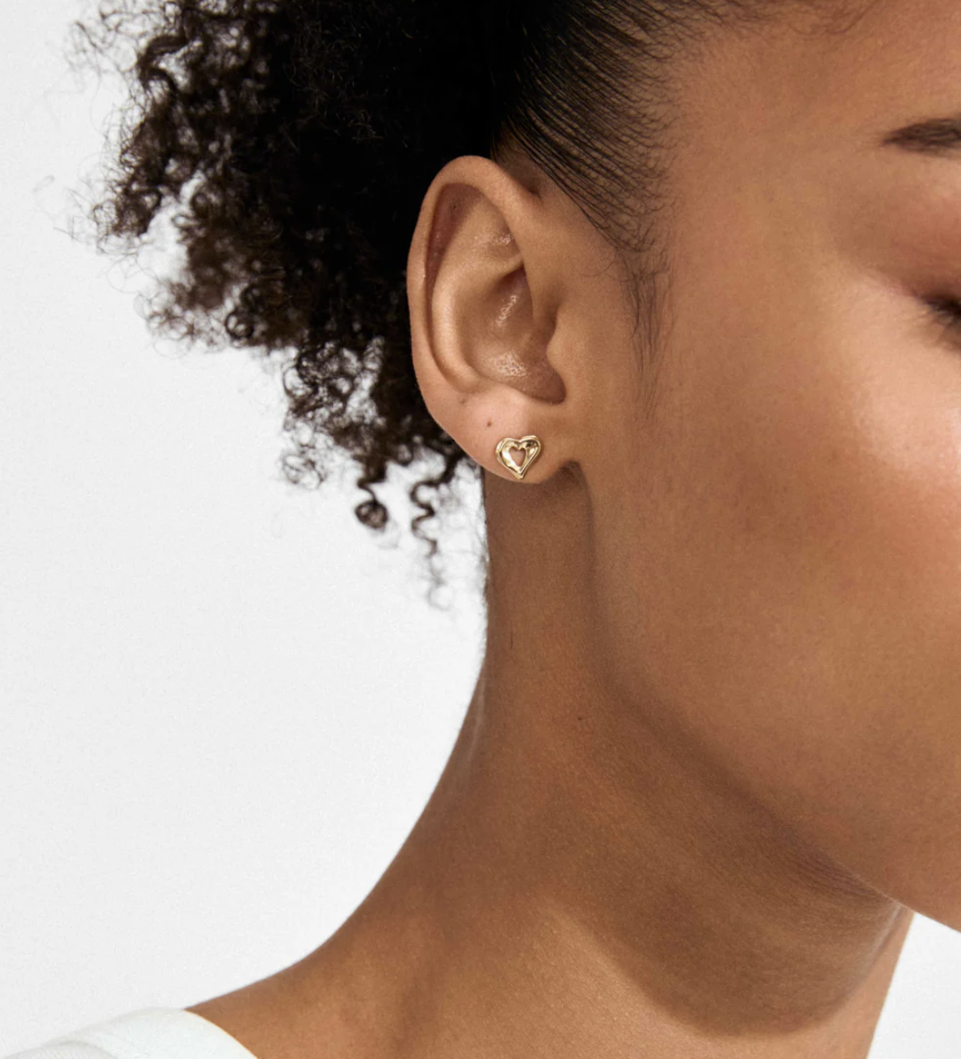 Boucles d'oreilles Pilgrim 