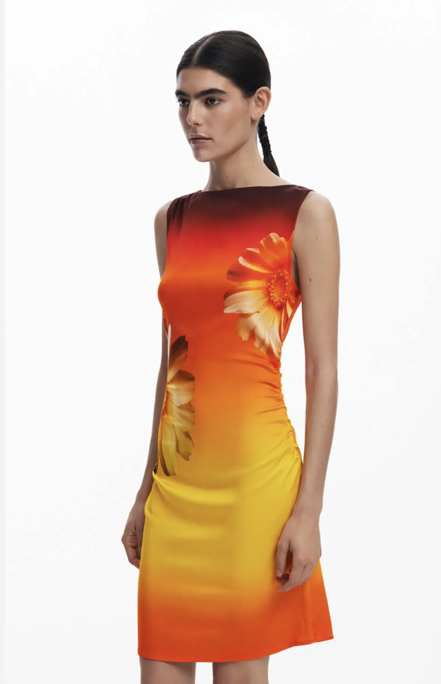 Robe Desigual 